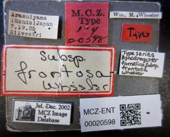 Media type: image;   Entomology 20598 Aspect: labels